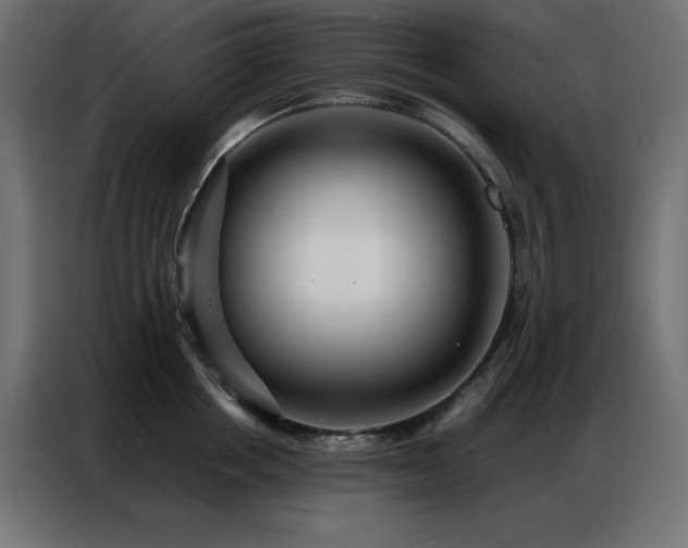 X0000086900858200704161314