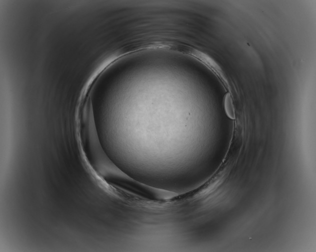 X0000086900859200704161314