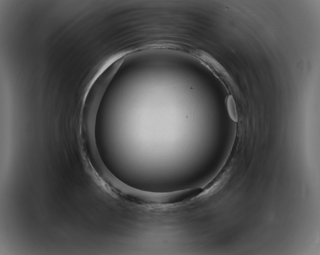 X0000086900860200704161314