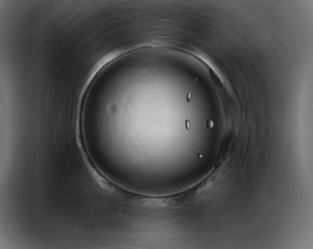 X0000086900861200704161314