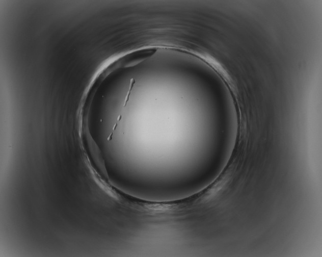 X0000086900862200704161314