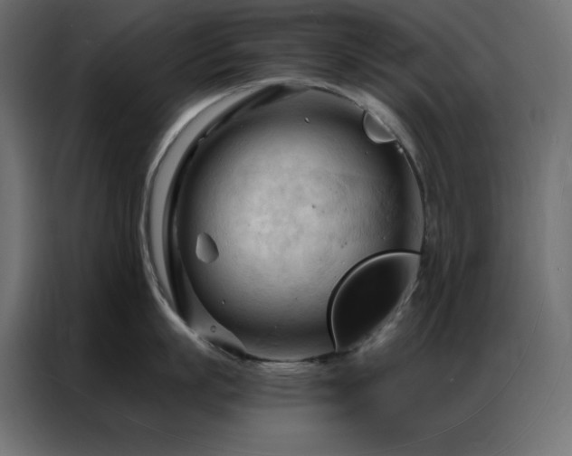 X0000086900863200704161314