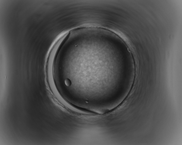 X0000086900864200704161314