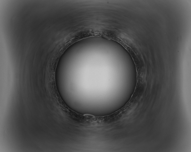 X0000086900865200704161313