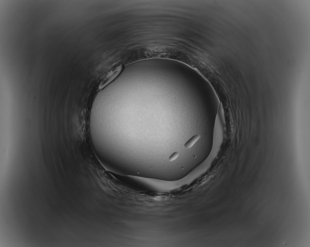 X0000086900868200704161313