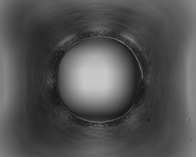 X0000086900869200704161313