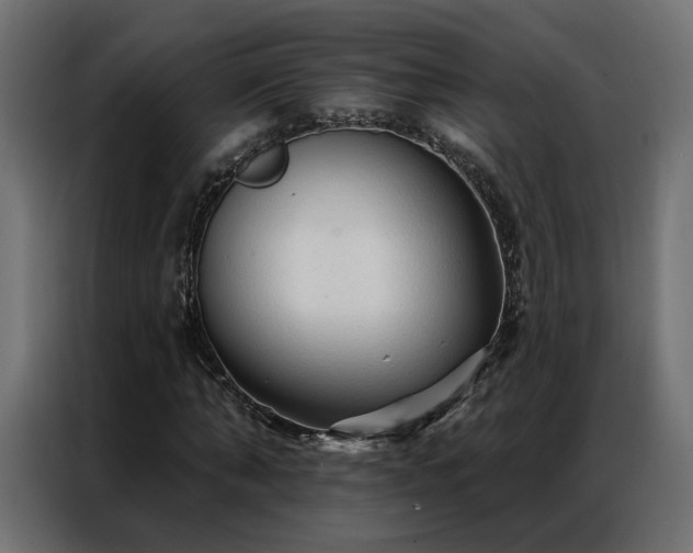 X0000086900870200704161313