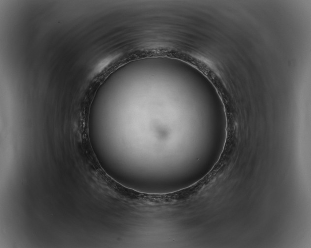 X0000086900871200704161313