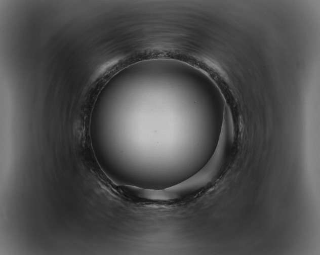 X0000086900872200704161313