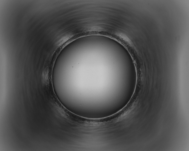 X0000086900873200704161313