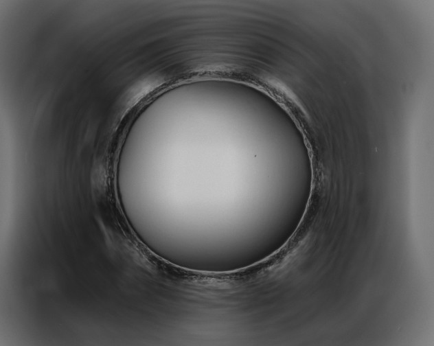 X0000086900874200704161313