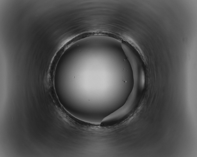 X0000086900876200704161313