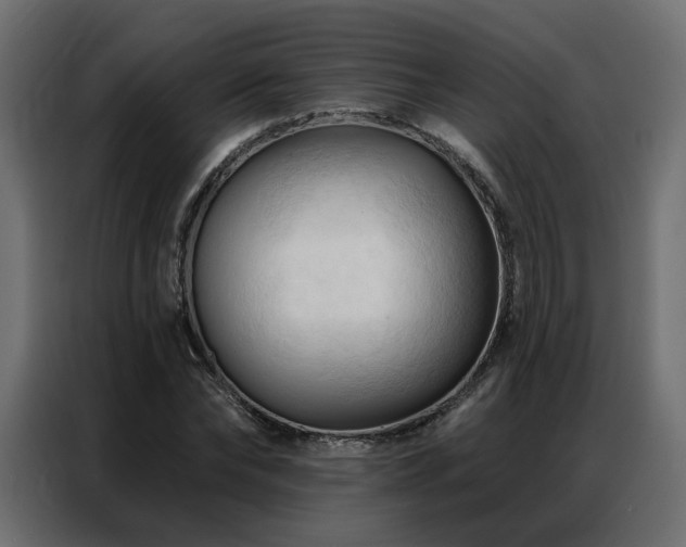 X0000086900878200704161313