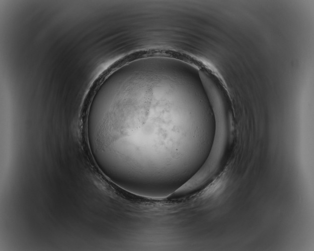 X0000086900879200704161313