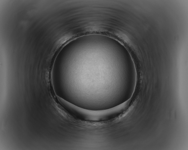 X0000086900881200704161313