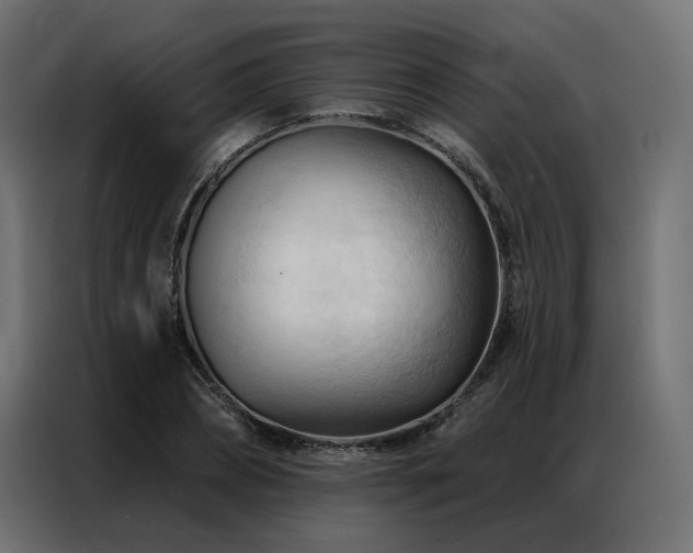 X0000086900882200704161313