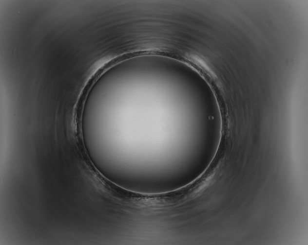 X0000086900883200704161313