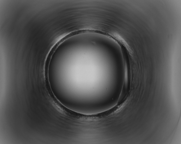 X0000086900884200704161313