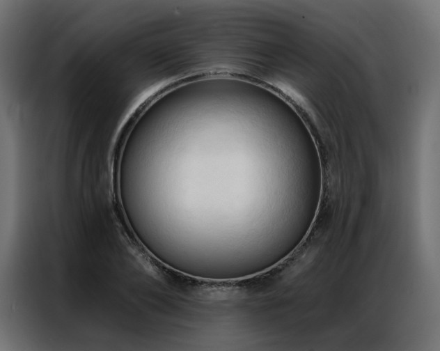 X0000086900886200704161313