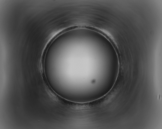 X0000086900887200704161313