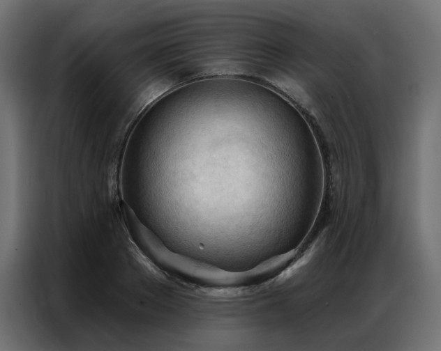 X0000086900889200704161313