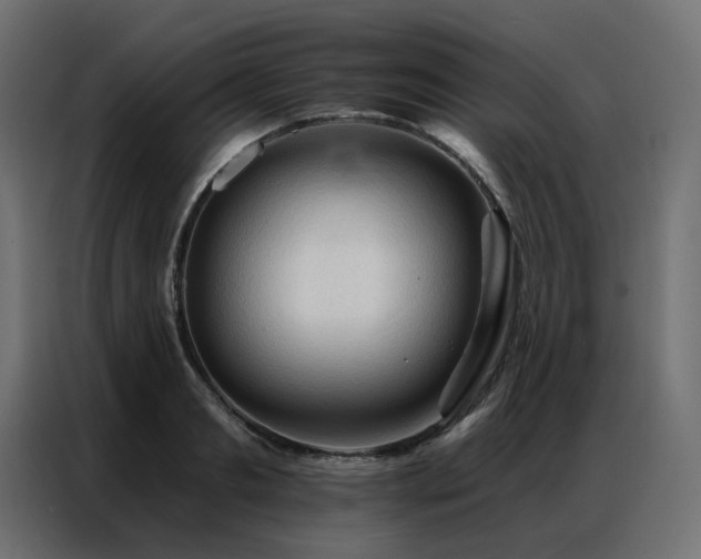 X0000086900893200704161313