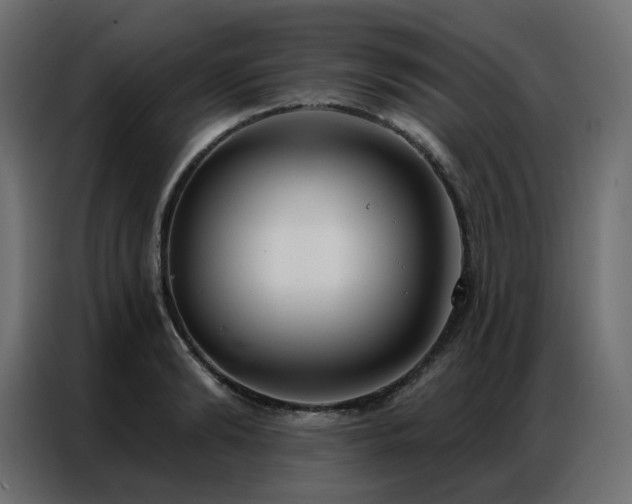 X0000086900894200704161313