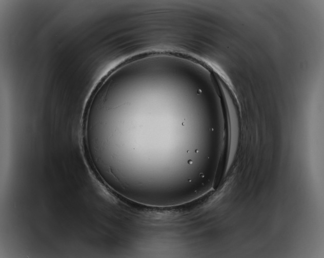 X0000086900895200704161313