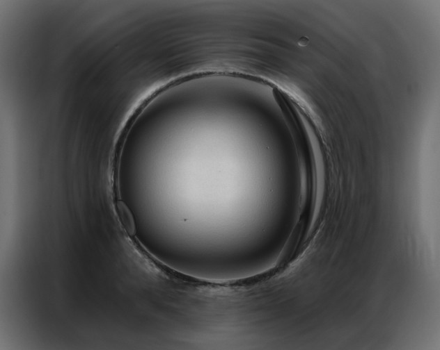 X0000086900896200704161313