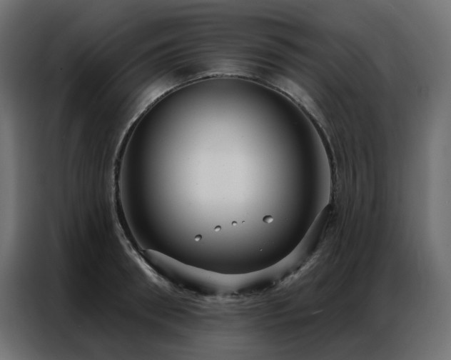 X0000086900898200704161313