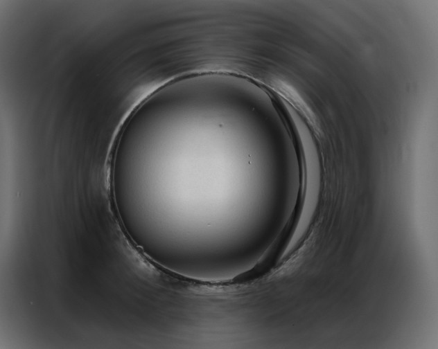 X0000086900900200704161313