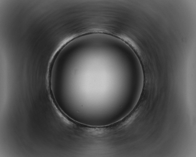 X0000086900902200704161313