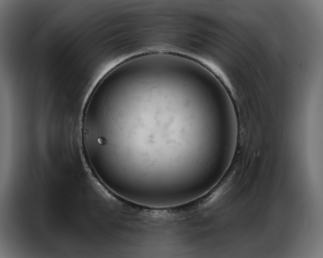 X0000086900903200704161313
