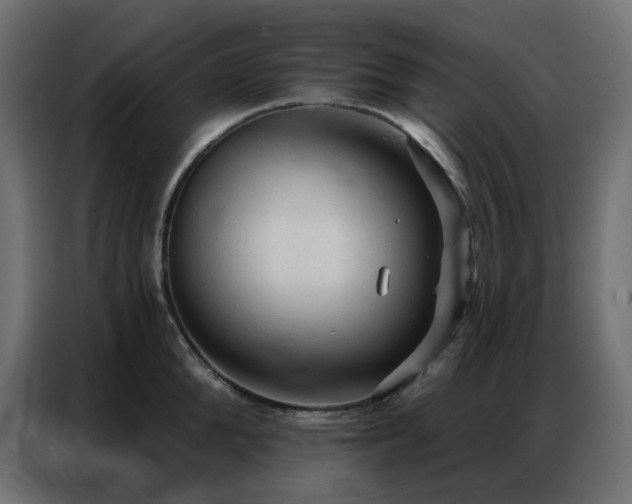 X0000086900904200704161313