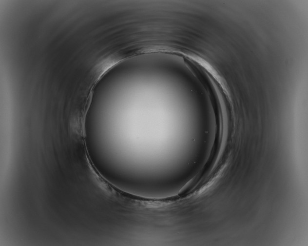 X0000086900905200704161313