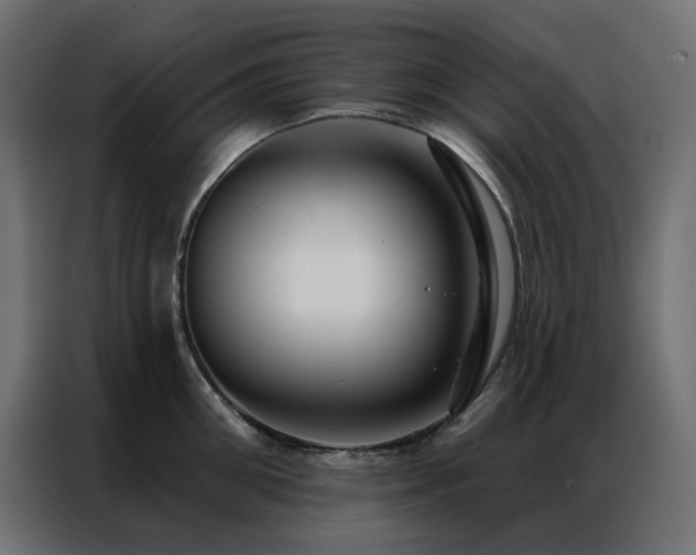X0000086900906200704161313