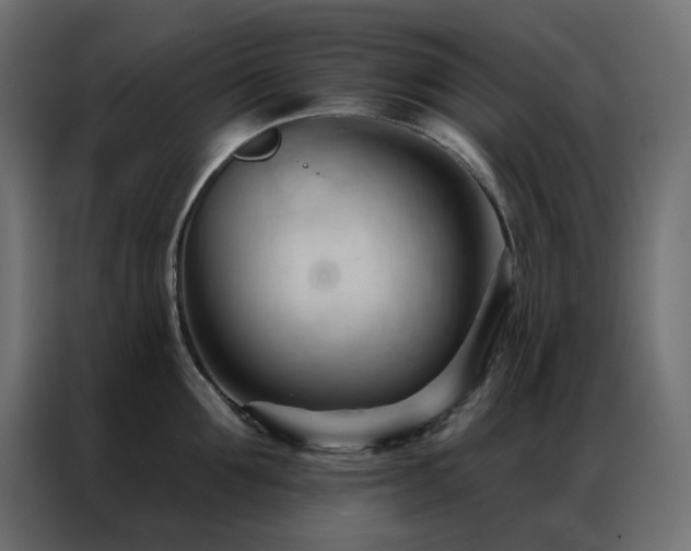 X0000086900907200704161313