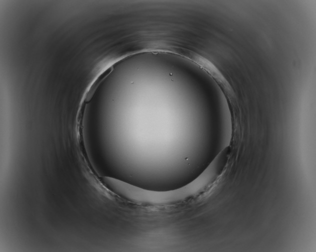 X0000086900908200704161313