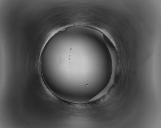 X0000086900911200704161312