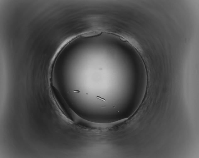 X0000086900912200704161312