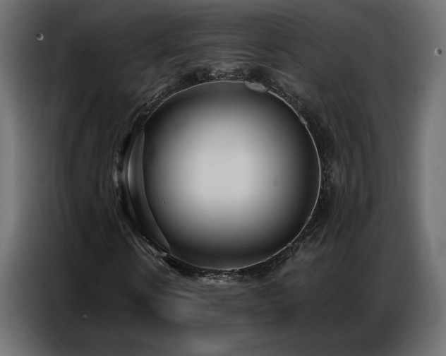 X0000086900914200704161312
