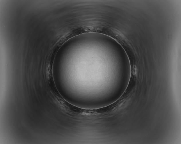 X0000086900915200704161312