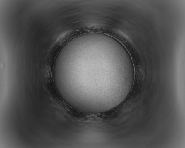X0000086900918200704161312