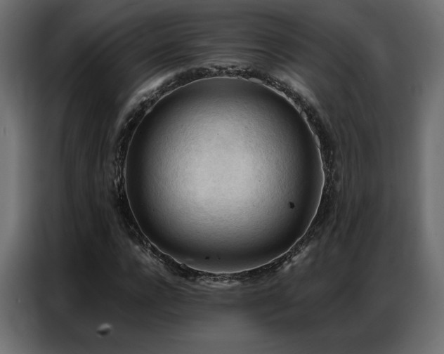 X0000086900920200704161312