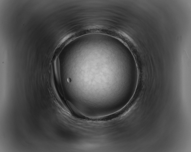 X0000086900921200704161312