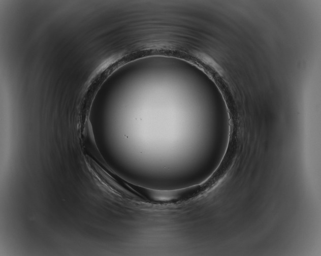 X0000086900922200704161312