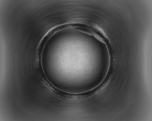 X0000086900923200704161312