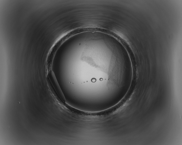 X0000086900925200704161312