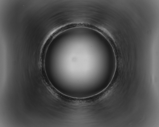 X0000086900927200704161312