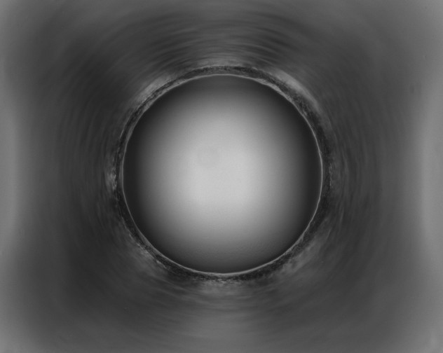 X0000086900929200704161312
